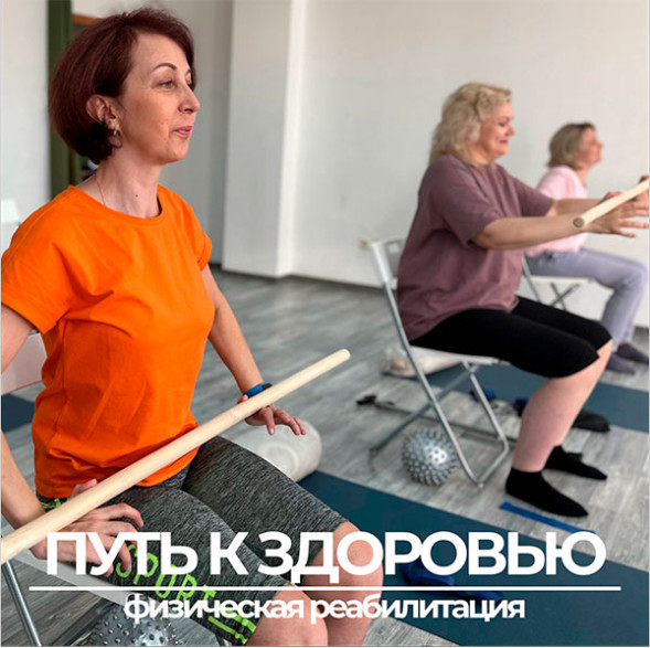 Офисное кресло Chairman 696 LT N